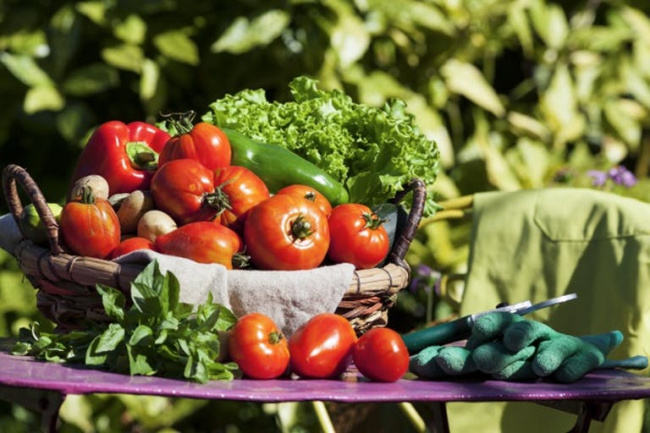 còn gì vừa tiện lợi vừa bổ dưỡng hơn rau sống?