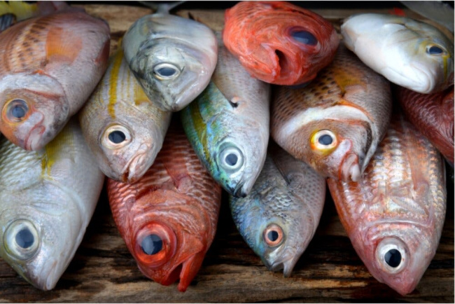 10 lý do bạn nên ăn cá đều đặn mỗi tuần