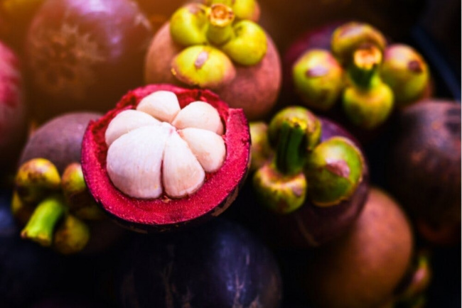 măng cụt: “nữ hoàng trái cây” có lợi ích gì với sức khỏe?
