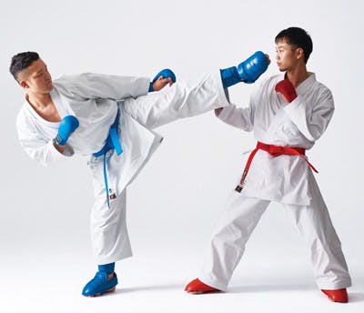 Luật thi đấu Karate dành cho cao thủ võ thuật