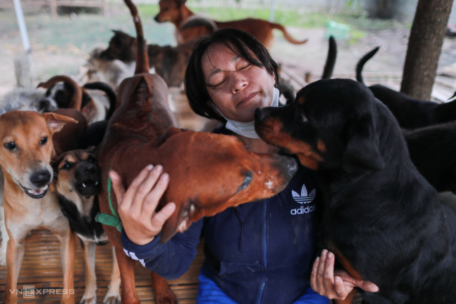 the woman who ran a farm of 500 rescue dogs and cats