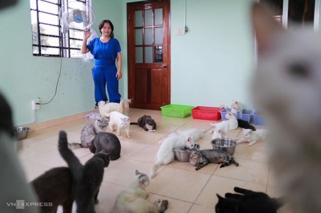 the woman who ran a farm of 500 rescue dogs and cats
