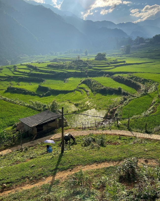 northwest tourism, northwest trip, vietnam check-in, go all the way around the highlands in the northwest to see how beautiful vietnam is