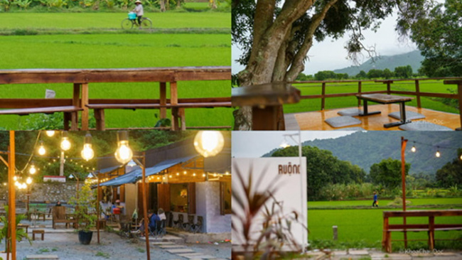 a beautiful cafe, rice noodle soup, ta pa pagoda, tinh bien, tri ton an giang, check-in tri ton ruong cafe – ‘chill’ your best in the green field
