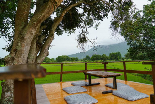 a beautiful cafe, rice noodle soup, ta pa pagoda, tinh bien, tri ton an giang, check-in tri ton ruong cafe – ‘chill’ your best in the green field