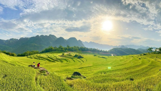destination in thanh hoa, fly over the golden season, pu luong, pu luong in the ripe rice season, pu luong travel experience, in pu luong, the rice season is ripe and golden everywhere, if you don’t go, you will regret it!