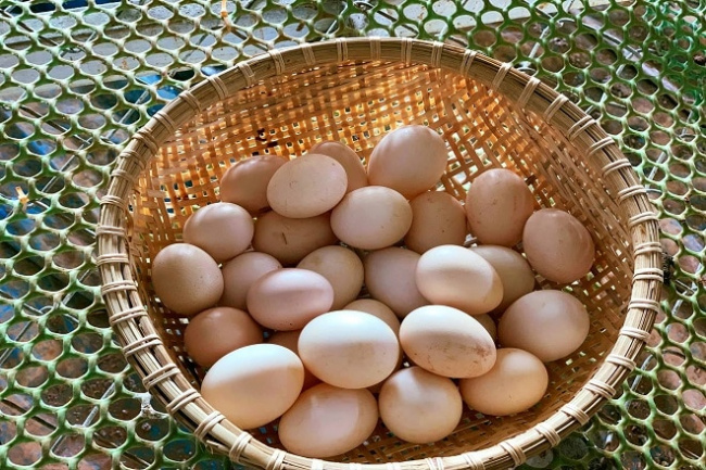 3 cách nấu cháo trứng thơm ngon bổ dưỡng và không tanh