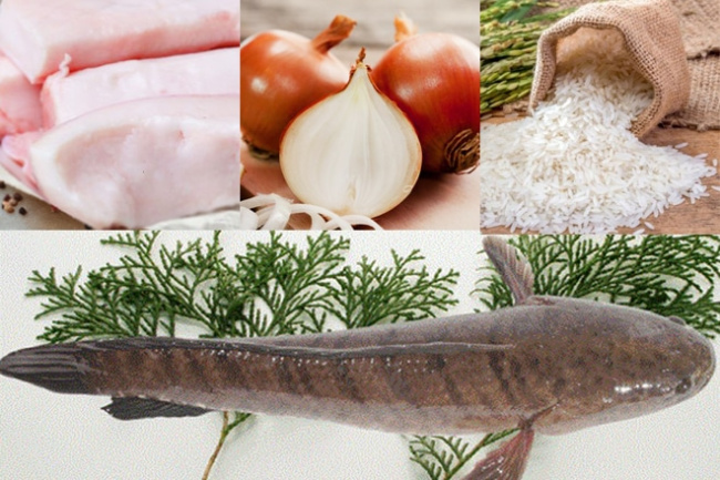 gợi ý 2 cách nấu cháo cá lóc thơm ngon nhiều chất dinh dưỡng nhất
