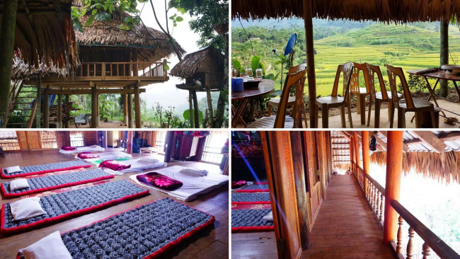 top 13 homestay pù luông giá rẻ đẹp view rừng núi và ruộng bậc thang