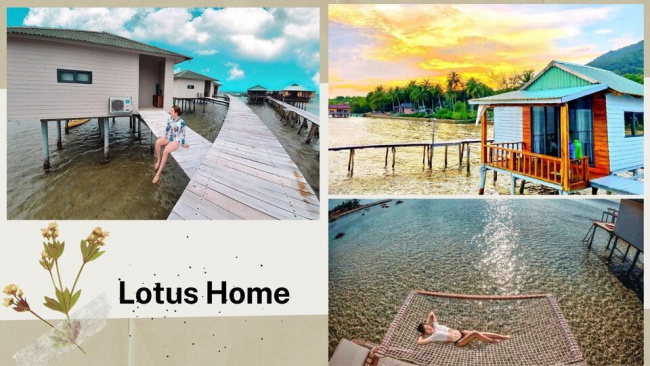 top 40 homestay phú quốc giá rẻ đẹp nhất gần biển xinh “lung linh”
