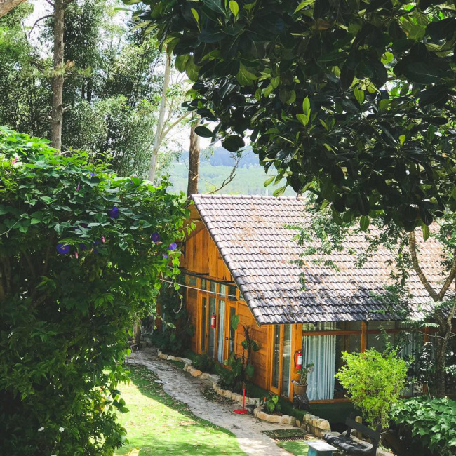 nomini homestay: căn nhà gỗ mộng mơ giữa rừng thông đà lạt