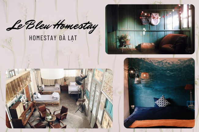 top 50 homestay đà lạt giá rẻ view đẹp gần chợ đêm trung tâm thành phố