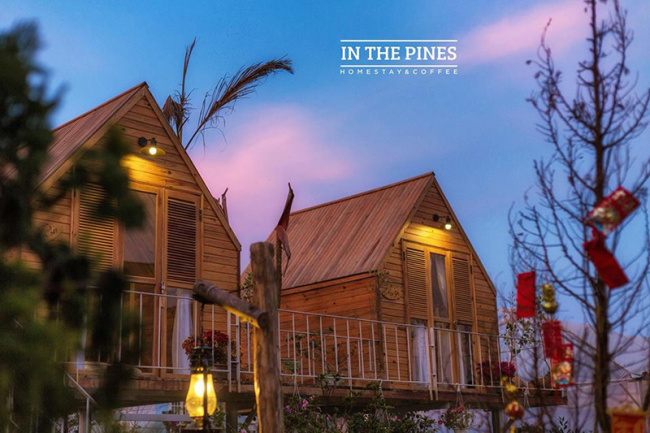 review in the pines homestay: điểm check-in đẹp với nhiều góc sống ảo