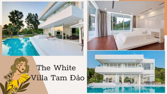 Top 30 Biệt thự villa Tam Đảo giá rẻ view núi rừng cực đẹp cho thuê