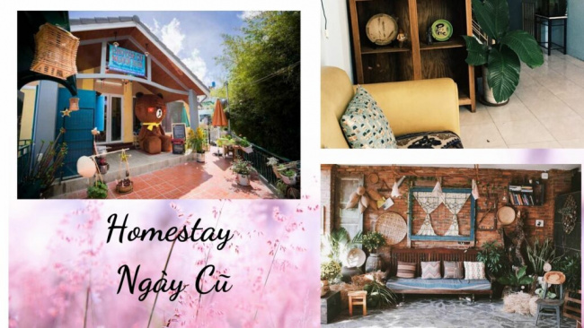 Top 40 homestay Nha Trang view đẹp giá rẻ gần biển và trung tâm