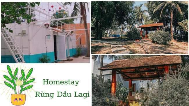 top 30 homestay phan thiết mũi né giá rẻ có hồ bơi gần biển tốt nhất