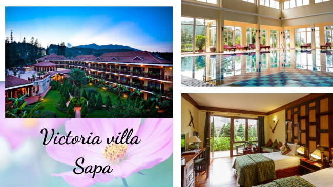 top 15 biệt thự villa sapa giá rẻ đẹp có hồ bơi view núi đồi mộng mơ