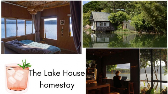 top 13 homestay hồ tuyền lâm giá rẻ view rừng thông đẹp nhất