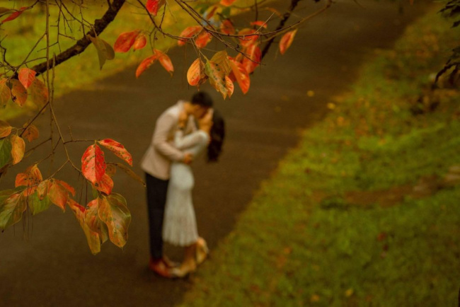 Chùm ảnh: “Fall in love” đẹp ngất ngây ở Dinh 2 Bảo Đại- Đà Lạt