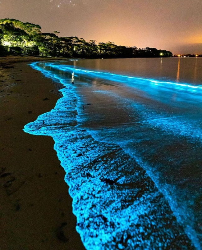 Chiêm ngưỡng ánh sáng xanh kỳ diệu trên bãi biển vịnh Mosquito Puerto Rico