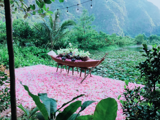 beautiful resorts and hotels in vietnam, homestay ninh binh, ninh binh, ninh binh lotus, ninh binh lotus season, ninh binh resort, ninh binh tourism, homestays watching the lotus season in ninh binh