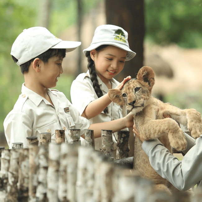 kiên giang, miền nam, phú quốc, amazon, khám phá vinpearl safari phú quốc: “siêu vườn thú” có gần 3.000 cá thể hoang dã