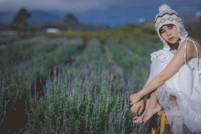 đà lạt, miền trung, review 4 cánh đồng hoa lavender đẹp nhất ở đà lạt