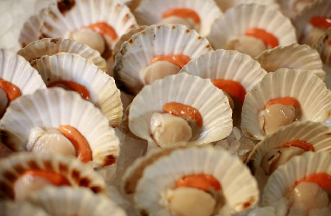 trải nghiệm 10 món ăn đậm chất miền biển trên đảo nam du