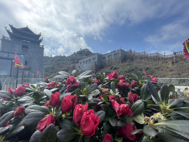 khung cảnh mùa xuân tuyệt đẹp trên đỉnh fansipan