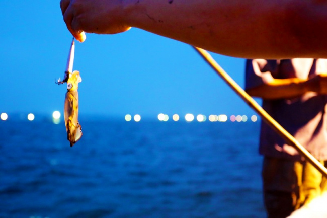 squid fishing in halong bay at night: all you need to know