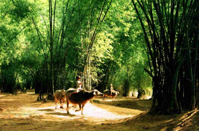 phong nam ancient village, da nang: an idyllic place of interest