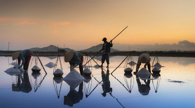 hon khoi salt fields: the gift from nature to nha trang