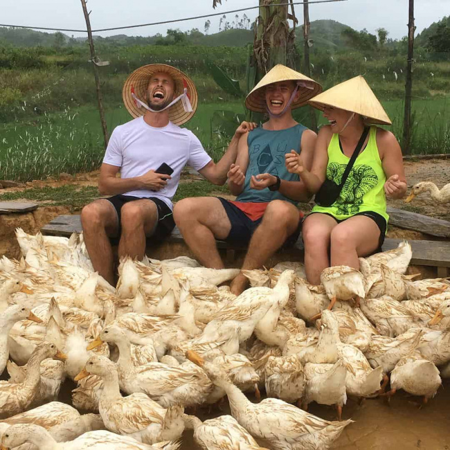 bizarre service of duck massage in quang binh province, vietnam