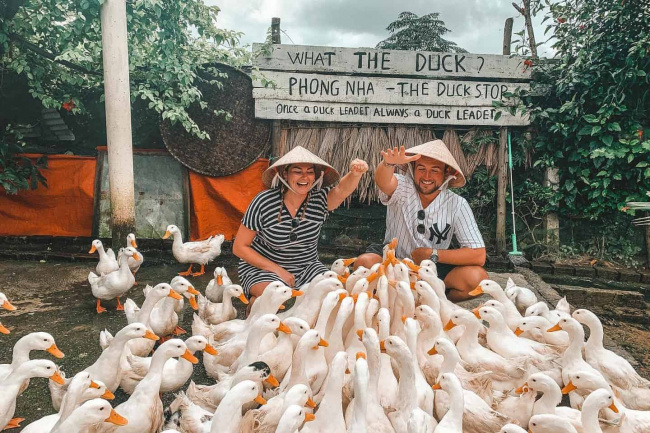 bizarre service of duck massage in quang binh province, vietnam