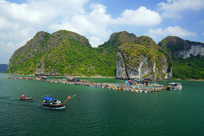 hoi an to halong bay with 3  traveling options