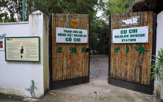 cu chi wildlife rescue station: the silent heroes of vietnamese endangered species