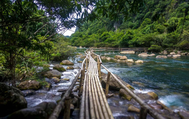 8 Best Vietnam’s National Parks for Wildlife Discovery