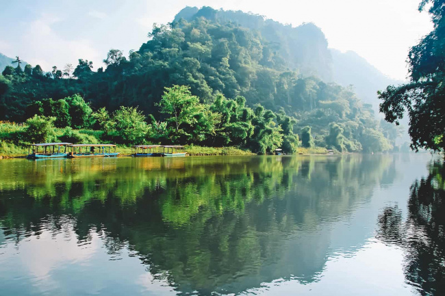 8 best vietnam’s national parks for wildlife discovery