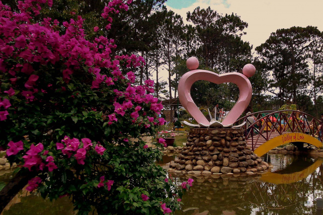 valley of love: a romantic rhythm of life in da lat