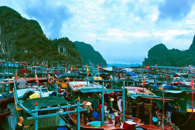 shopping in halong bay - guidelines from a to z