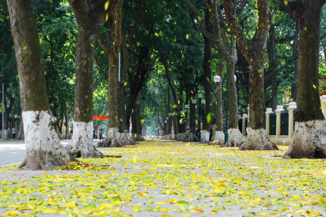 guide to exploring hanoi weather by month