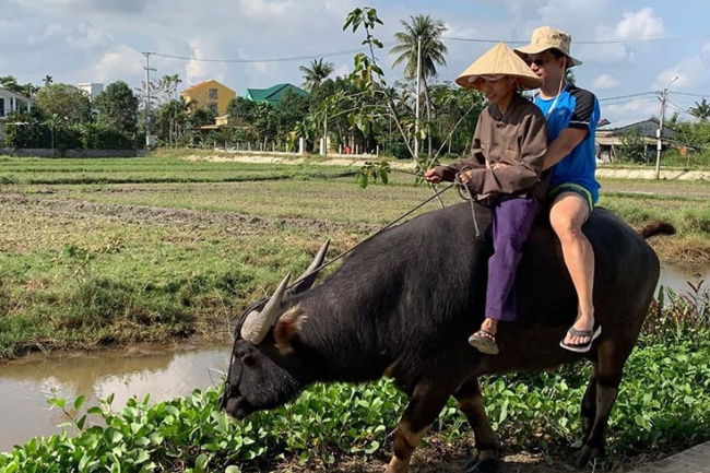 riding a water buffalo in hoi an - unique activity for village experience