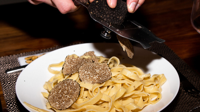 nấm truffle - viên kim cương đen của giới ẩm thực