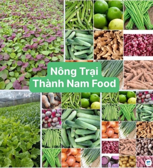 8 công ty cung cấp thực phẩm tốt nhất tp hcm