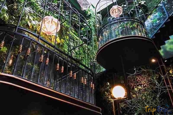 khu ăn chơi nghỉ dưỡng, quận 1, tp. hồ chí minh, terrace cafe – quán cà phê với thiết kế lồng chim độc nhất