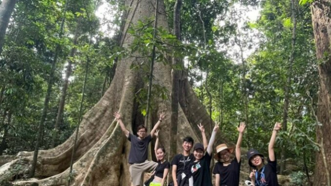 bau sau, dong nai, male sand fairy, travel, two days of forest road experience in nam cat tien