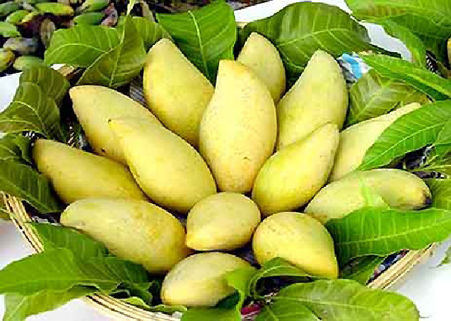 trái cây đặc sản, top 10 loại trái cây đặc sản việt nam