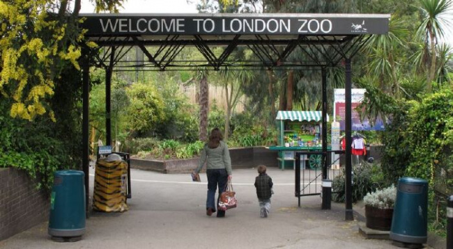 sở thú lớn nhất, sở thú, khám phá, vườn động vật, berlin, đức, top 10 sở thú lớn nhất thế giới tính đến