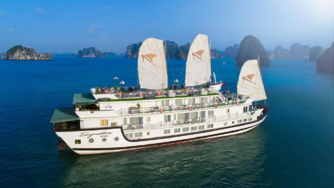 starlight cruise, vịnh hạ long, du thuyền, du thuyền indochina sails, top 10 du thuyền sang trọng bậc nhất ở vịnh hạ long