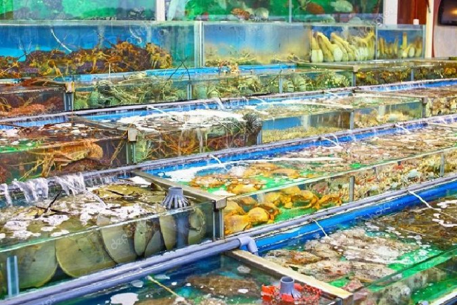 chợ đầu mối, vựa hải sản giá sỉ, chợ hải sản, mua hải sản ngon, top 12 chợ đầu mối, vựa hải sản tươi sống giá sỉ lớn nhất tại sài gòn